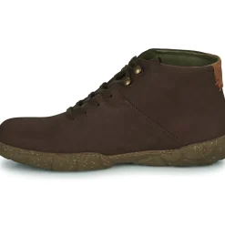 El Naturalista - TURTLE N5083