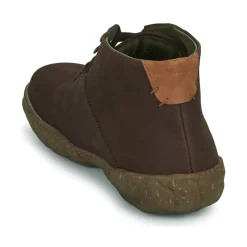 El Naturalista - TURTLE N5083