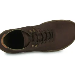 El Naturalista - TURTLE N5083
