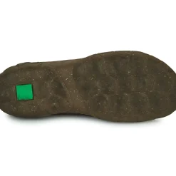 El Naturalista - TURTLE N5083