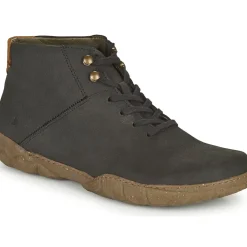 El Naturalista - TURTLE N5083