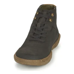 El Naturalista - TURTLE N5083