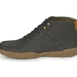 El Naturalista - TURTLE N5083