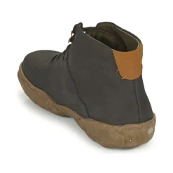 El Naturalista - TURTLE N5083