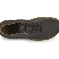 El Naturalista - TURTLE N5083
