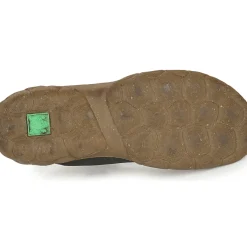 El Naturalista - TURTLE N5083