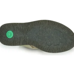El Naturalista - VOLCANO N5579