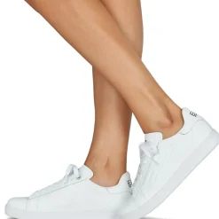 Emporio Armani EA7 - CLASSIC NEW CC