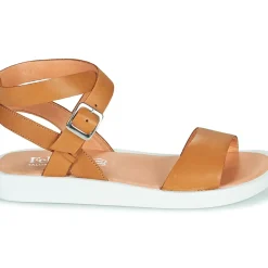Felmini - GINA