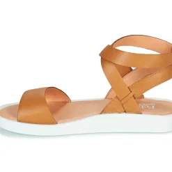 Felmini - GINA