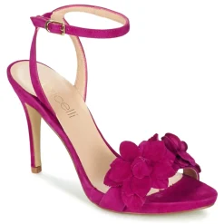 Fericelli - GLAM