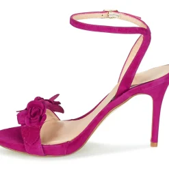Fericelli - GLAM