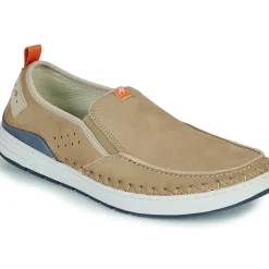 Fluchos - LESTER