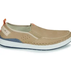 Fluchos - LESTER