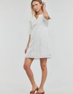 Freeman T.Porter - LOTISSE LACE
