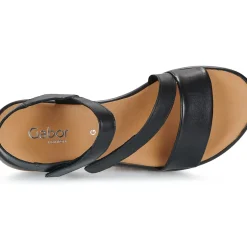 Gabor - 62733