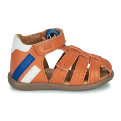 GBB - ALEXO