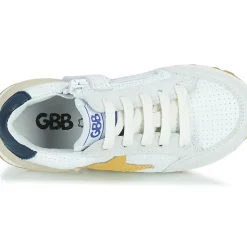 GBB - AMALIA