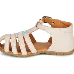 GBB - ANAYA