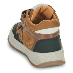 GBB - ANTONIO