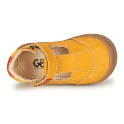 GBB - ARENI