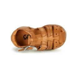 GBB - ARIGO