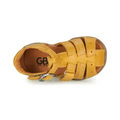 GBB - ARIGO