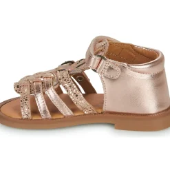 GBB - CARETTE