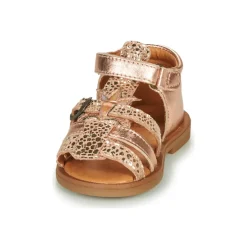 GBB - CARETTE