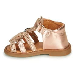 GBB - CARETTE