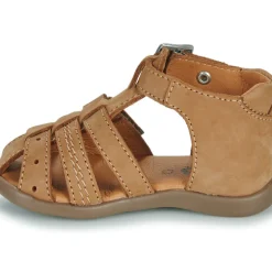 GBB - CARIGO