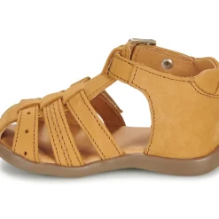 GBB - CARIGO