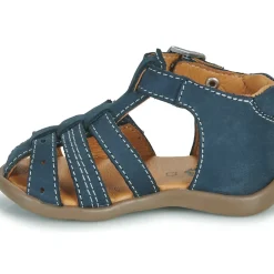 GBB - CARIGO