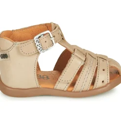 GBB - CARIGO