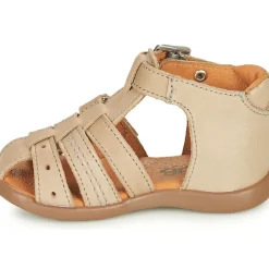 GBB - CARIGO