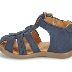 GBB - CARIGO