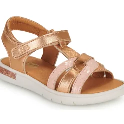 GBB - CLEO