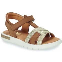 GBB - CLEO