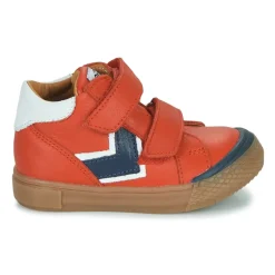 GBB - DAVAD
