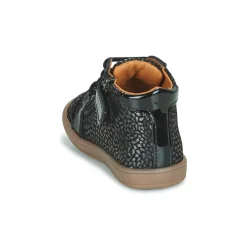 GBB - FAMIA