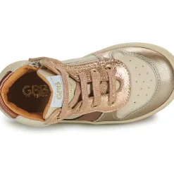 GBB - FELIPA