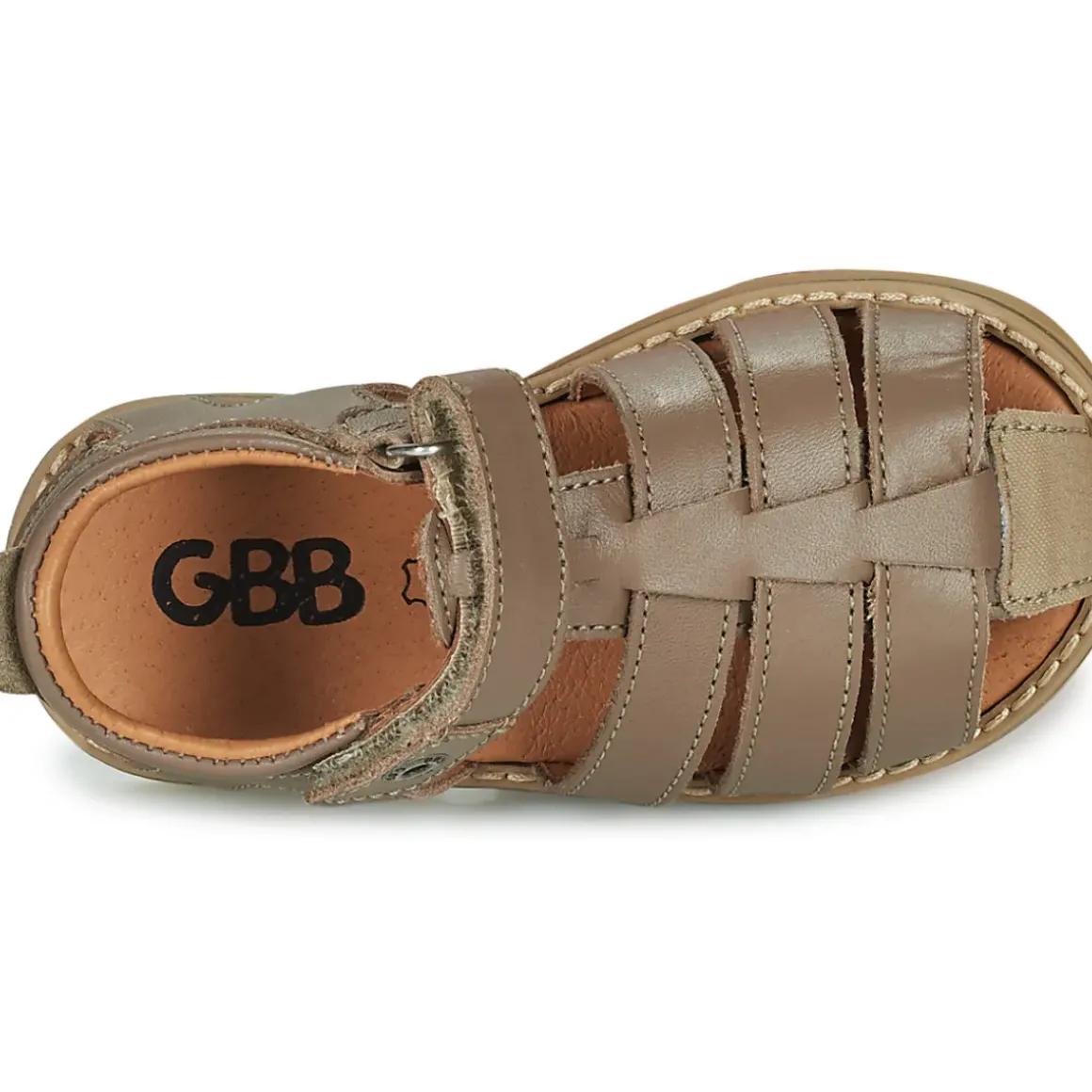 GBB - FERNATO