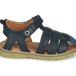 GBB - FERNATO