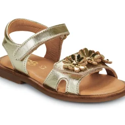 GBB - FLORABELLE