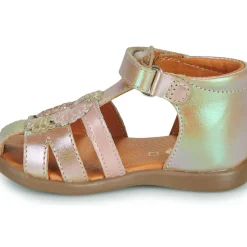 GBB - FLORE