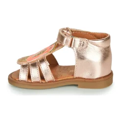 GBB - FRANIA