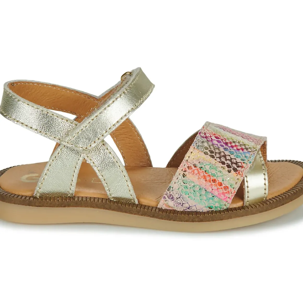 GBB - LISABELLA