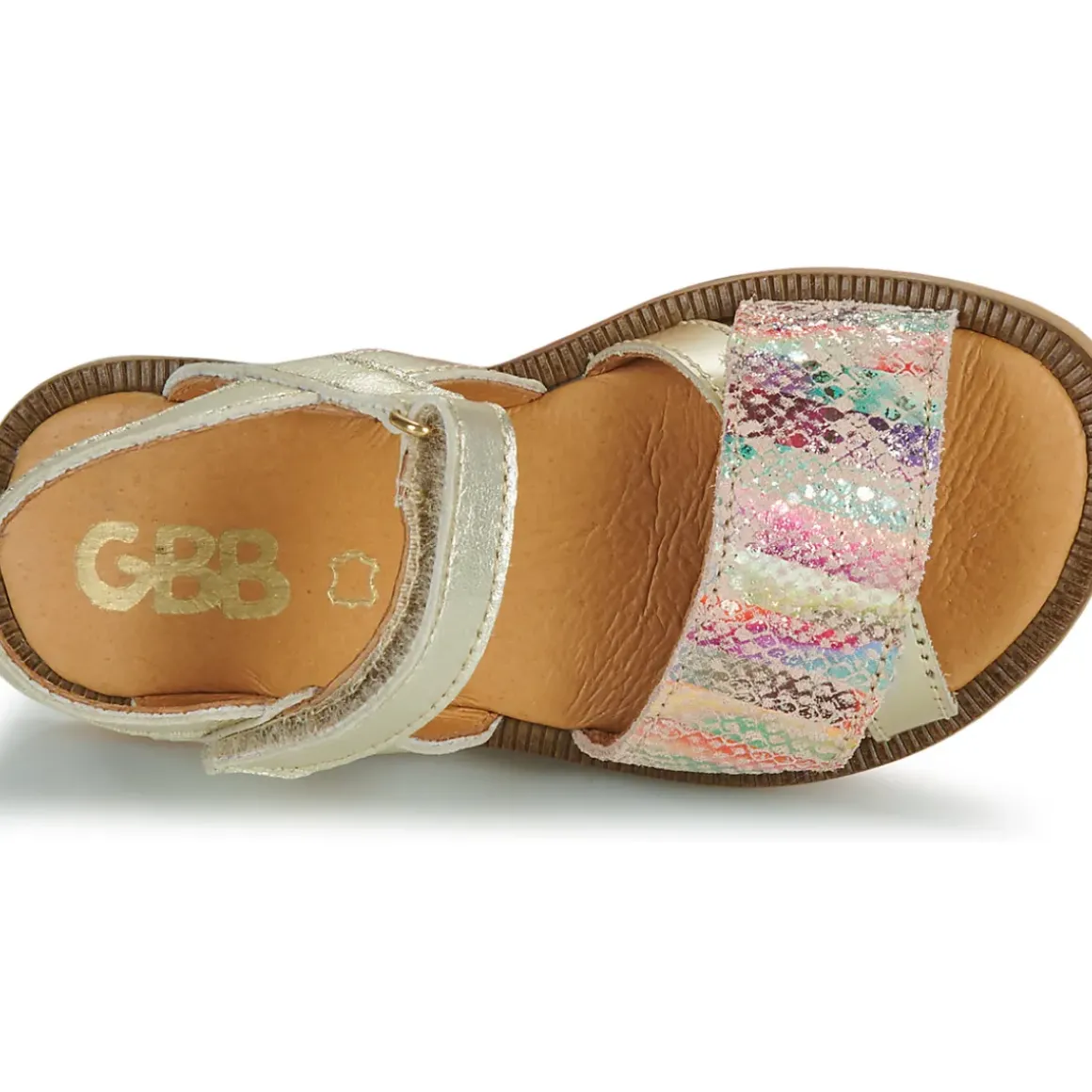 GBB - LISABELLA