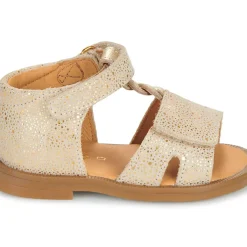 GBB - LORIE*