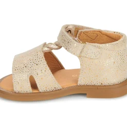 GBB - LORIE*